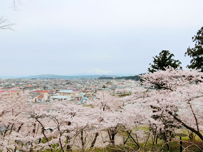 本荘公園の上に上る途中から見える風景。高台からの街並みと鳥海山と桜がきれいに見えている。